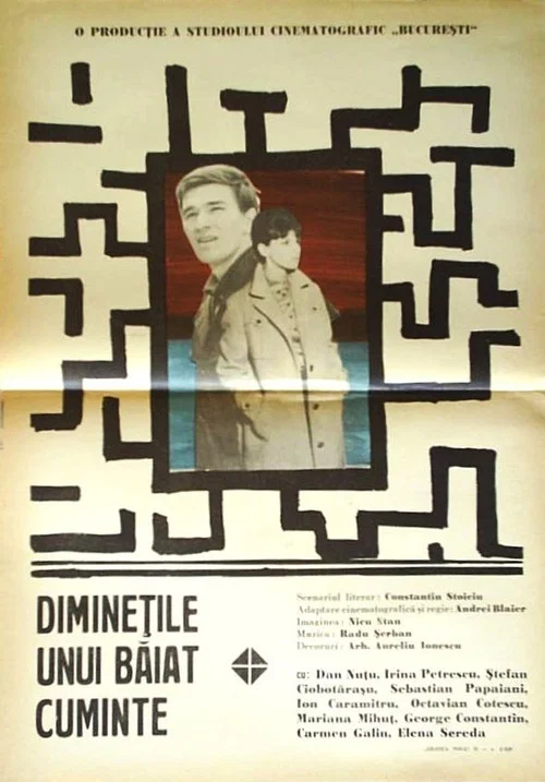 Diminețile unui băiat cuminte постер