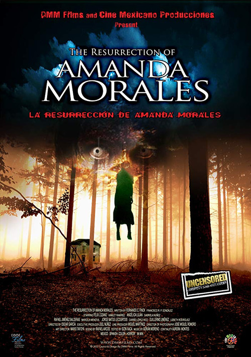La Resurrección de Amanda Morales постер