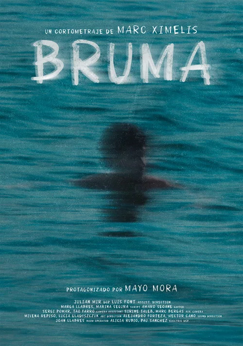 Bruma постер