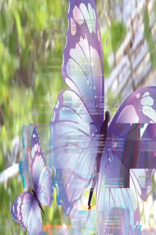 sacha_butterfly_hypno_reconstruction1.mp4 постер