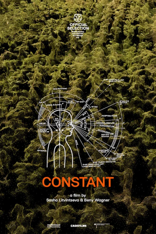 Constant постер