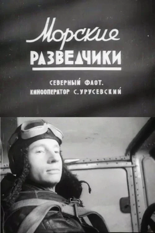 Морские разведчики постер