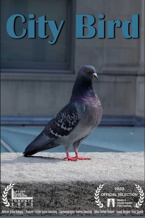 City Bird постер