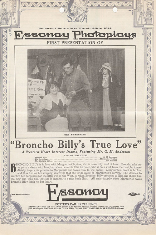 Broncho Billy's True Love постер