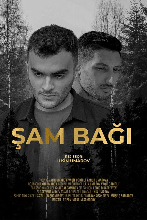 Şam Bağı постер