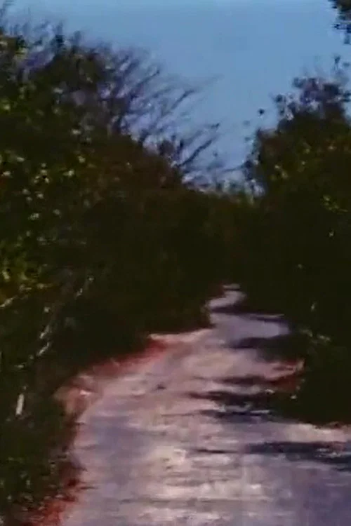 Road to Nowhere постер