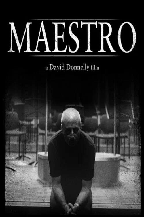 Maestro постер