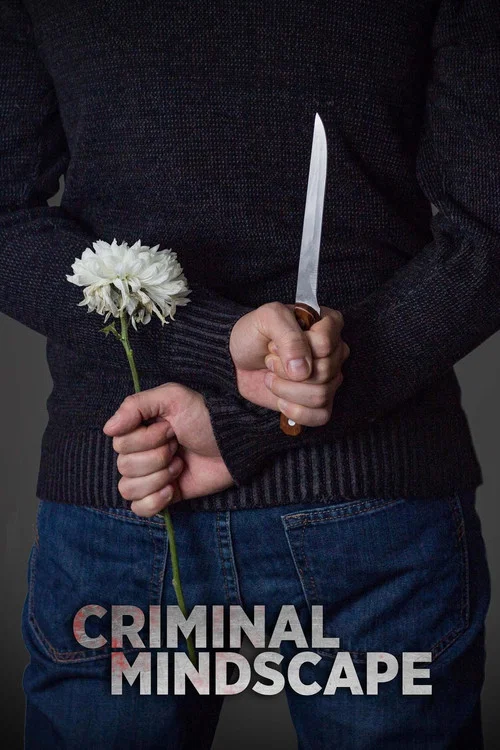Criminal Mindscape постер
