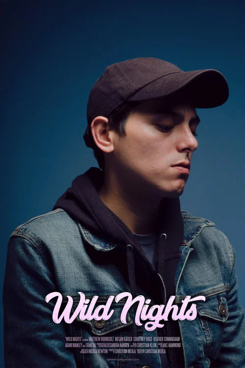 Wild Nights постер