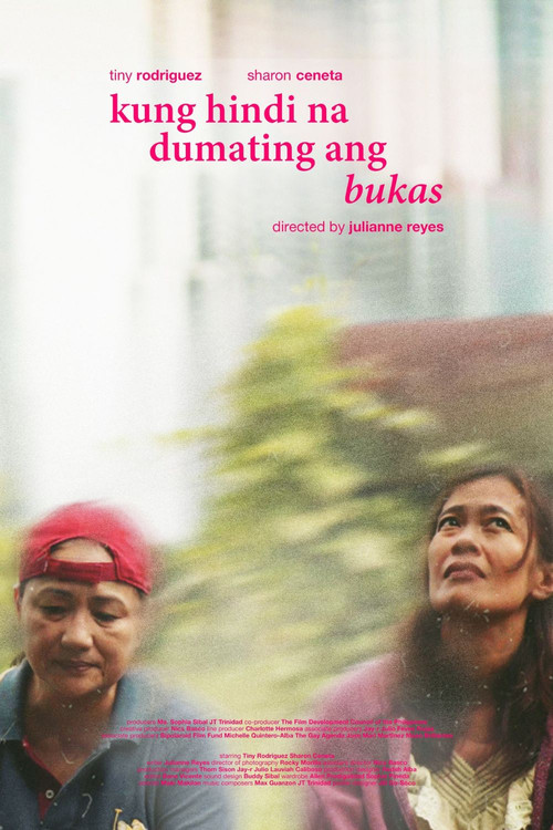 kung hindi na dumating ang bukas постер