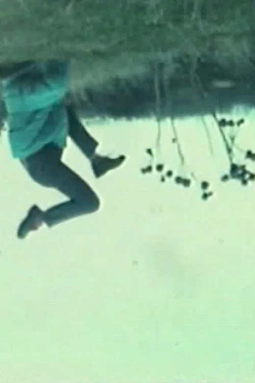 Vertiges постер