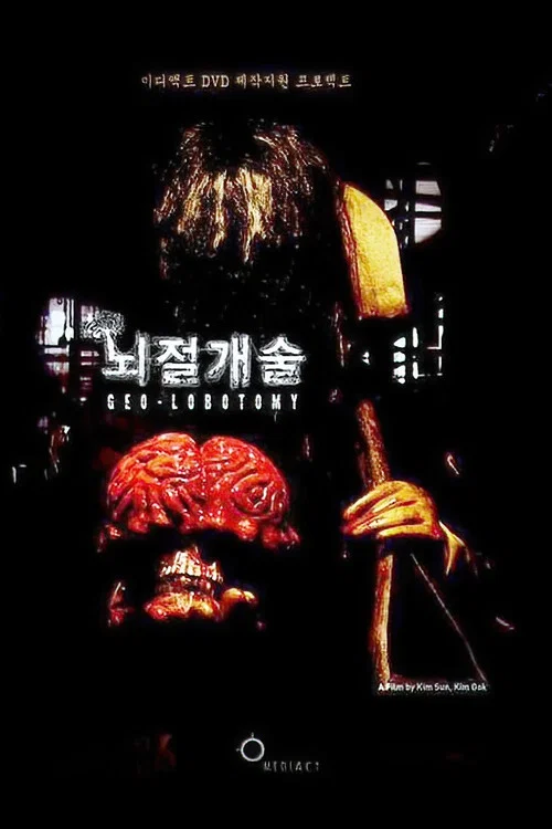 뇌절개술 постер