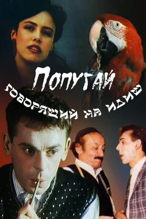Попугай, говорящий на идиш постер
