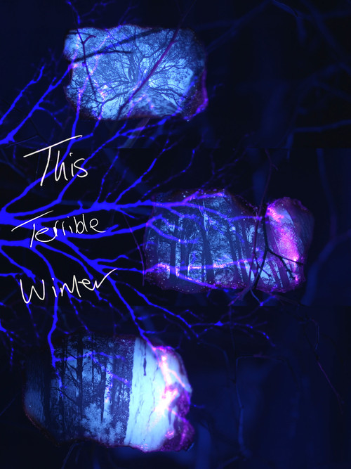 This Terrible Winter постер