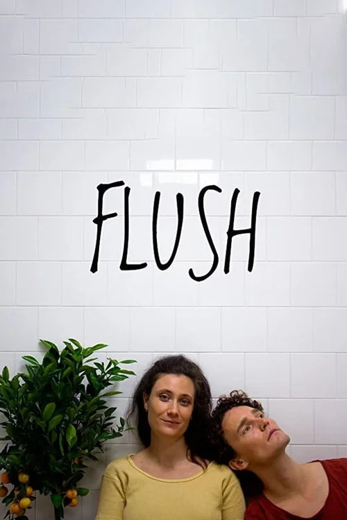 Flush постер