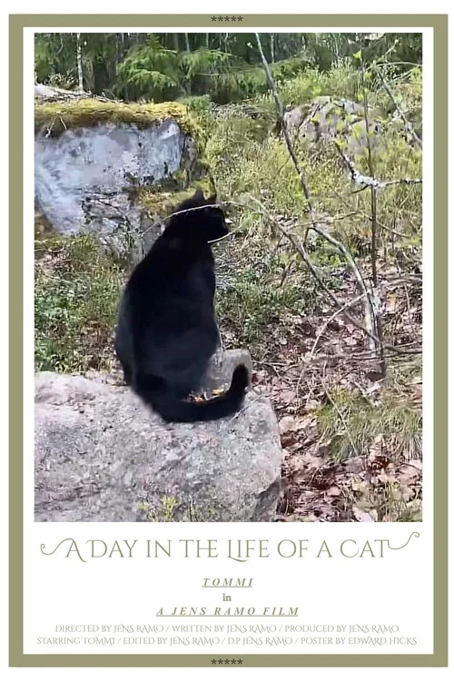 A Day in the Life of a Cat постер