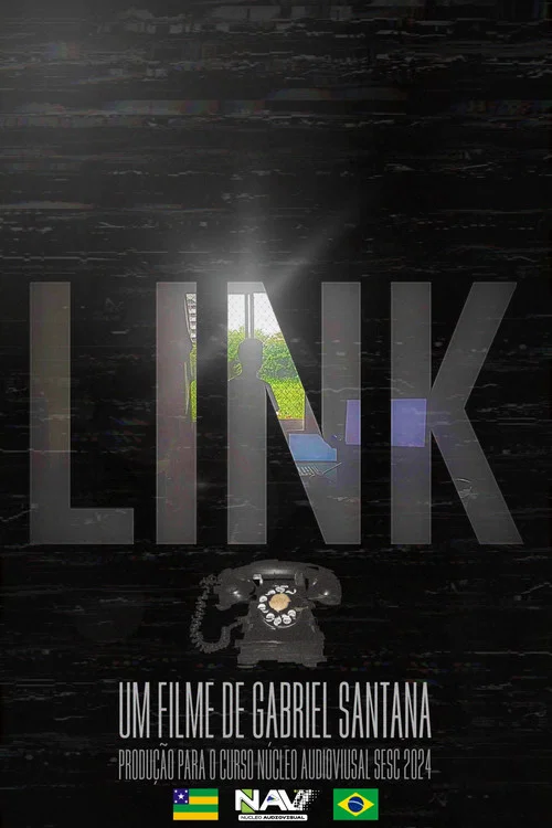 LINK постер