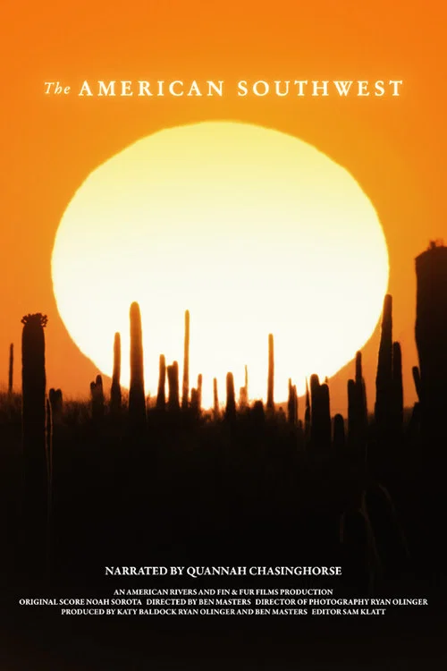 The American Southwest постер