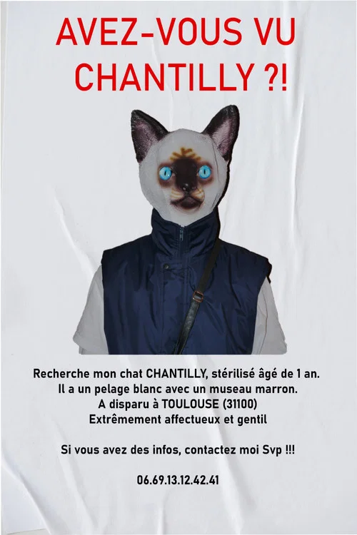 AVEZ-VOUS VU CHANTILLY ?! постер