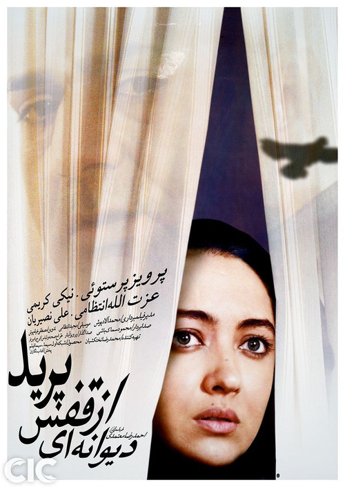 دیوانه‌ای از قفس پرید постер