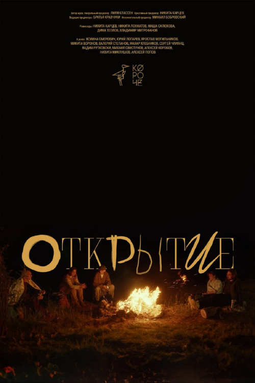 Открытие постер
