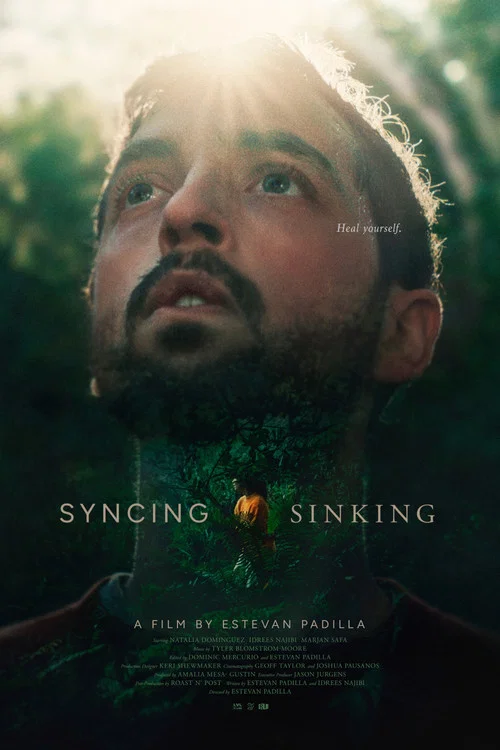 Syncing Sinking постер
