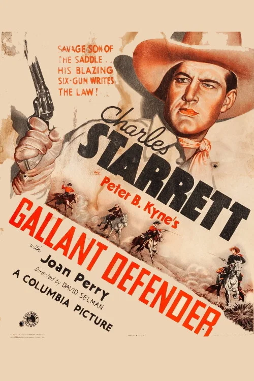 Gallant Defender постер