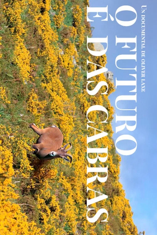 O futuro é das cabras постер