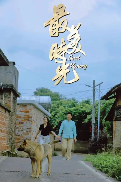 最美时光 постер