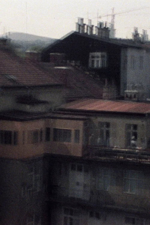 33/77 Keine Donau постер