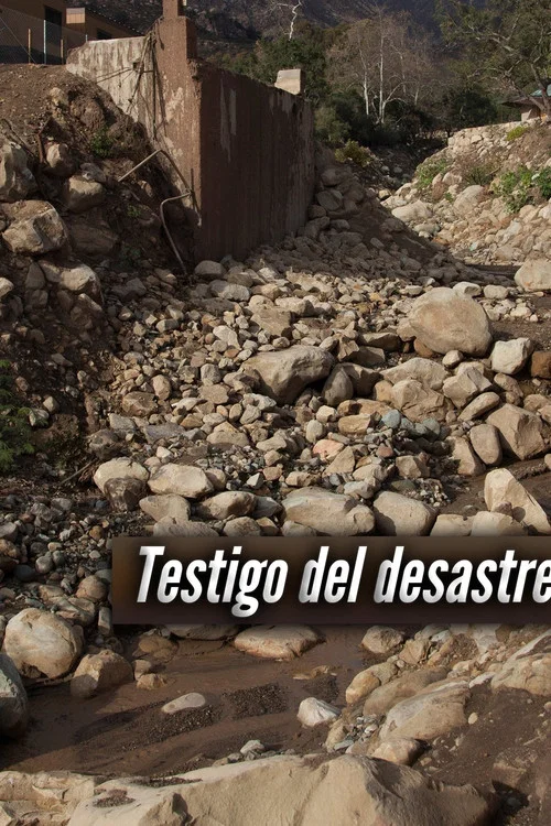 Testigos de la tragedia постер