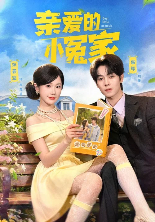 亲爱的小冤家 постер