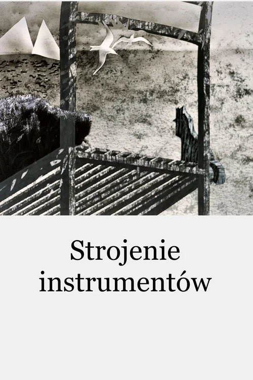 Strojenie instrumentów постер