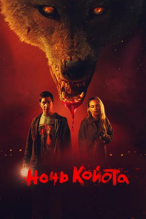 Ночь койота постер
