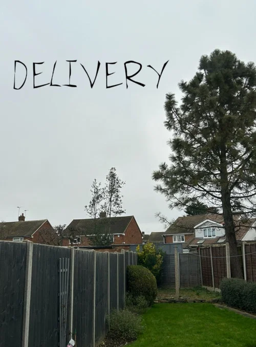 Delivery постер