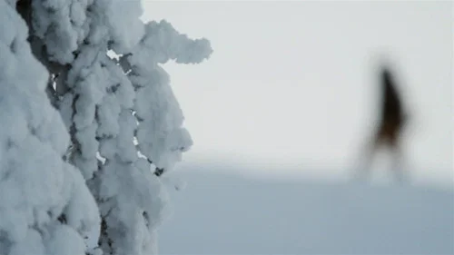 Эпизод 3