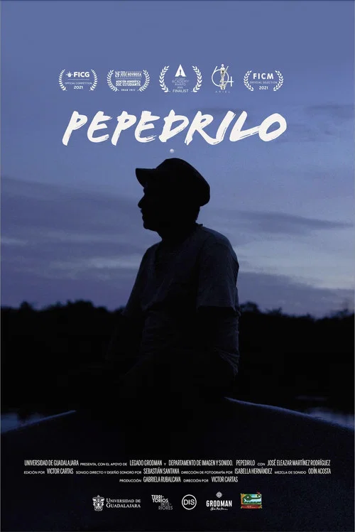 Pepedrilo постер