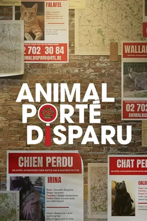 Animal porté disparu постер