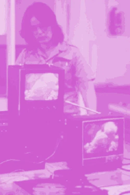 Not For Sale: Feminism and Art in the USA during the 1970s постер