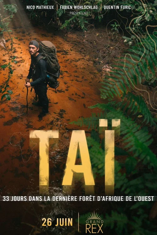 TAÏ: 33 jours dans la dernière forêt primaire d’Afrique de l’Ouest постер