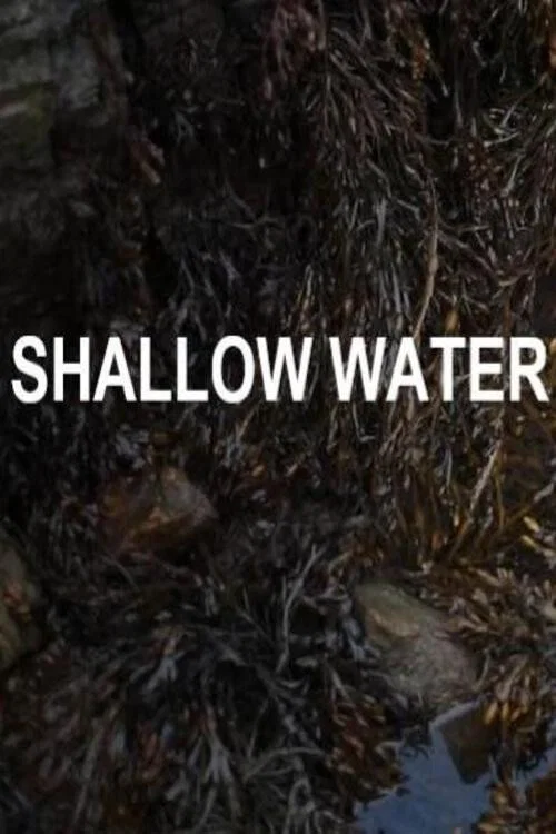 Shallow Water постер