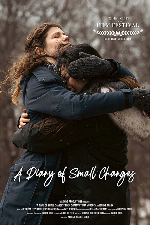 A Diary of Small Changes постер