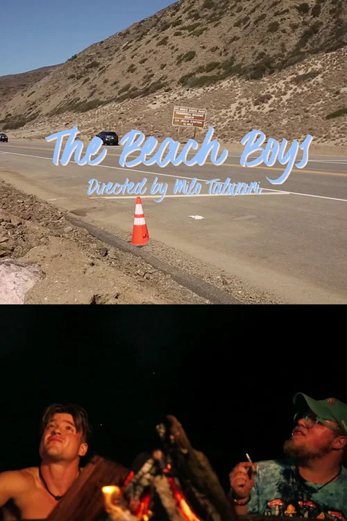 The Beach Boys постер