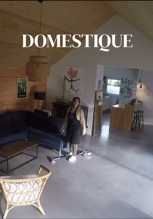 Domestique постер