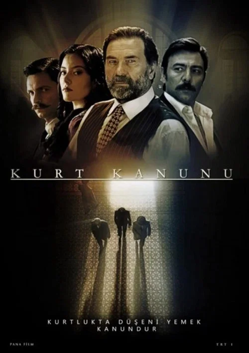 Kurt Kanunu постер