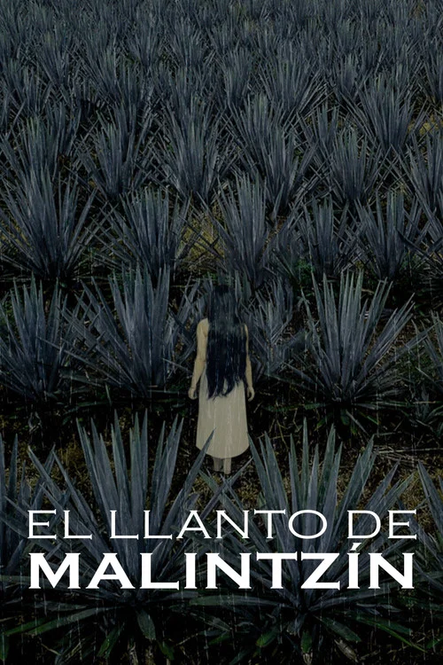 El llanto de Malintzín постер