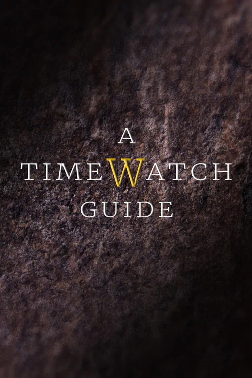 A Timewatch Guide постер