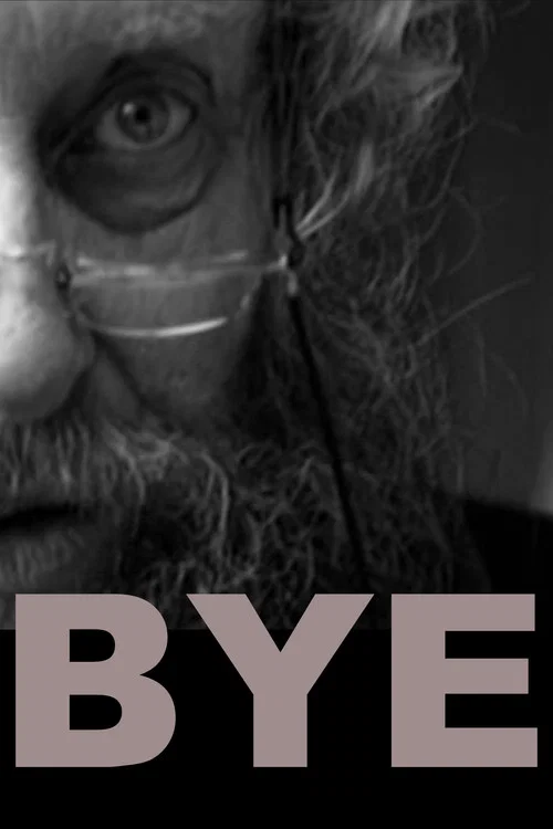 Bye постер