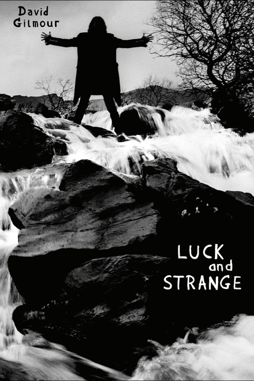 David Gilmour: Luck And Strange постер