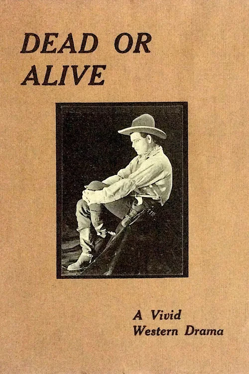 Dead or Alive постер